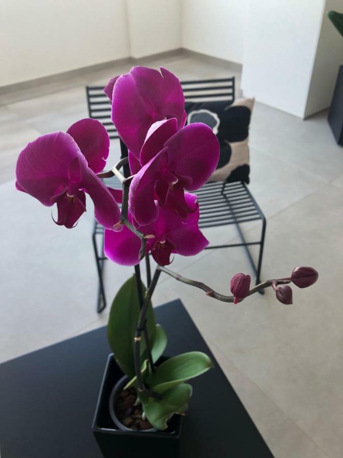Golden Suites 50 Monopoli Εξωτερικό φωτογραφία